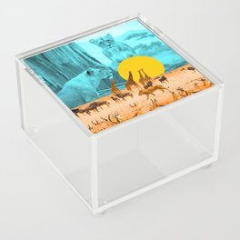 Hierarchy Acrylic Box