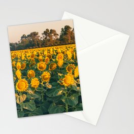 Summer Flowers Stationery Card