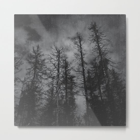 Transmission Metal Print