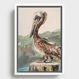 Pelican Framed Canvas