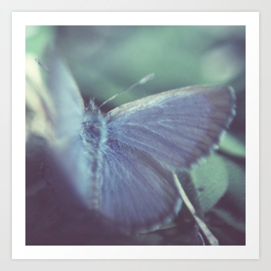 Midnight flight Art Print