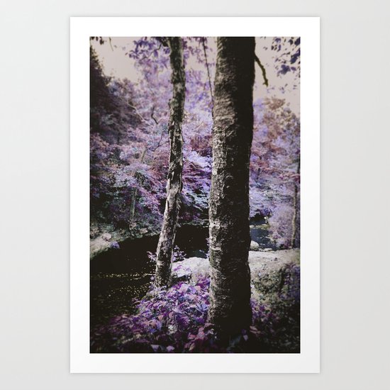 Violet Autumn Art Print