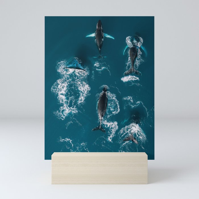 Mini Art Print
