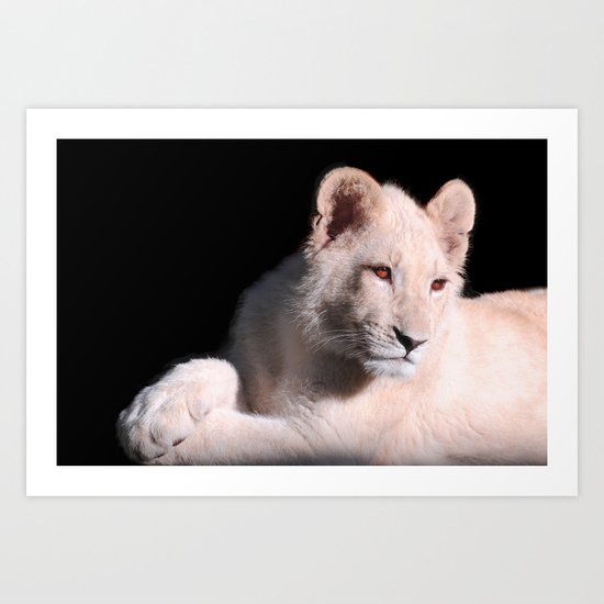 Paws Art Print