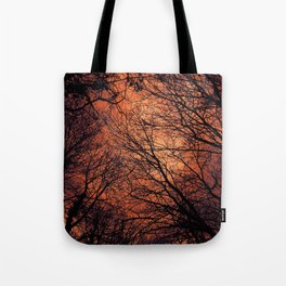 The Enchanted Forest 2 Tote Bag