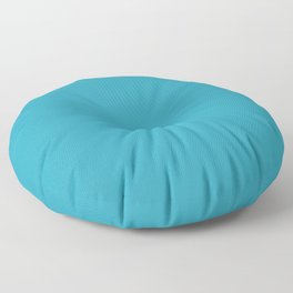 Sea Teal Floor Pillow