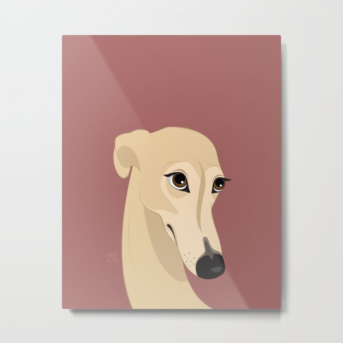 Shy greyhound Metal Print