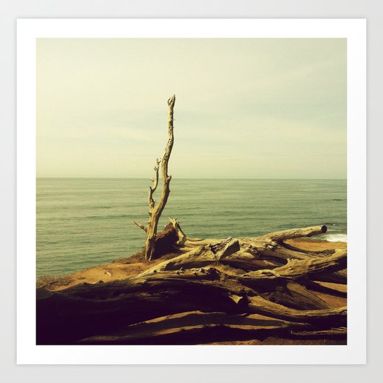 Staring At The Divine Art Print