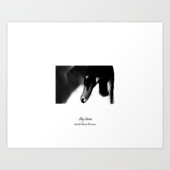 Shy Swan Art Print