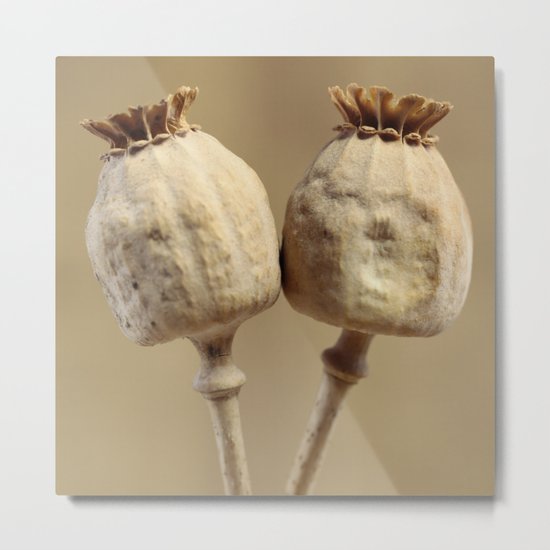 Poppy Metal Print