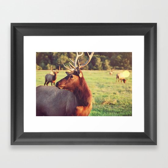 Summer Fields | 05 Framed Art Print
