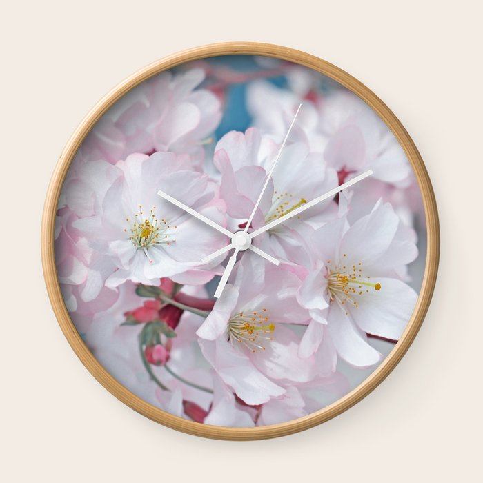 Cherry Blossoms 0212 Wall Clock