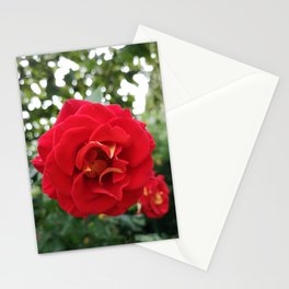 Pause Stationery Cards