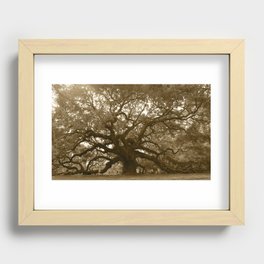 Angel Oak Recessed Framed Print