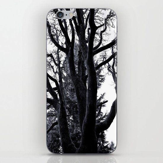 Towards the sky iPhone & iPod Skin