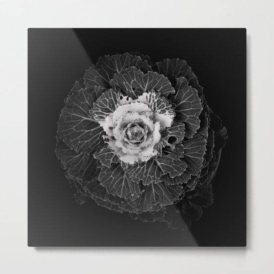 Cabbage Metal Print
