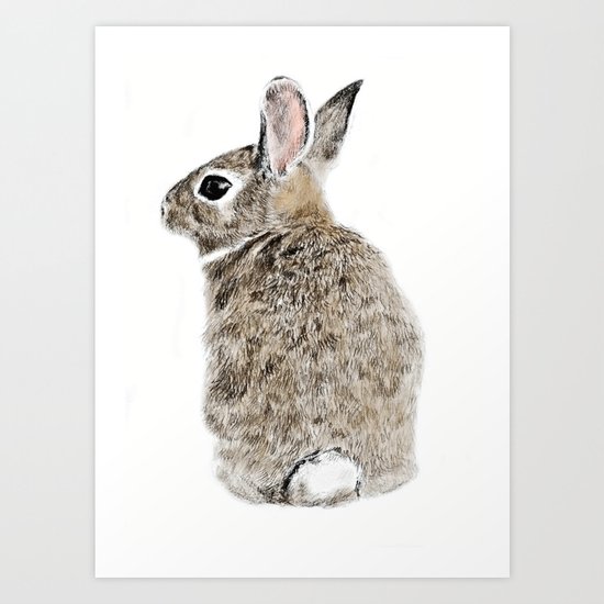 Rabbit Art Print
