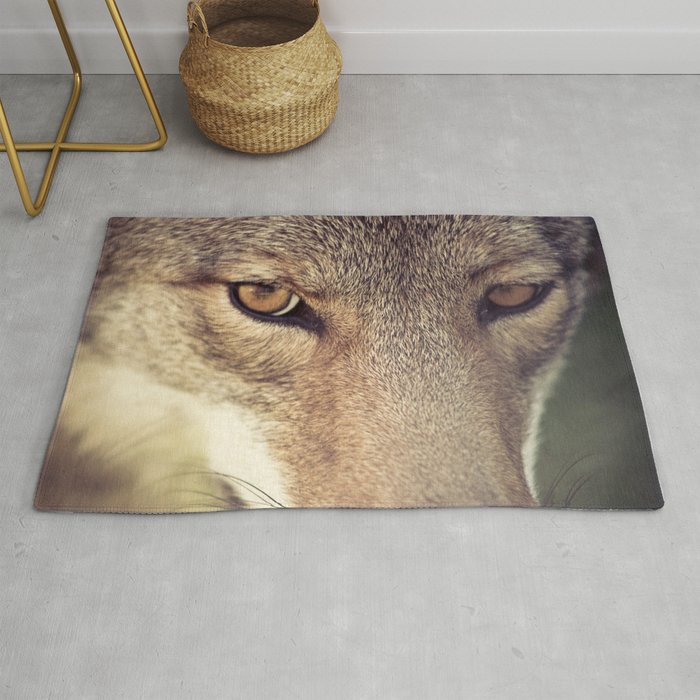 Isabelle Lafrance Photography, How To Make A Coyote Rug