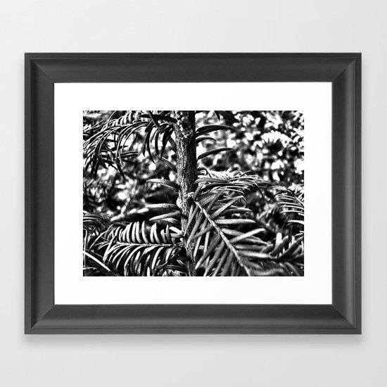 Sapling Framed Art Print