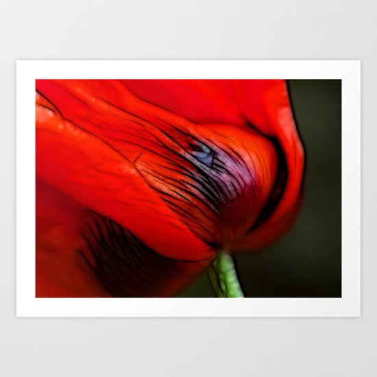Poppy Day Art Print