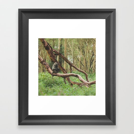 Wild Baboon in Kenya Framed Art Print