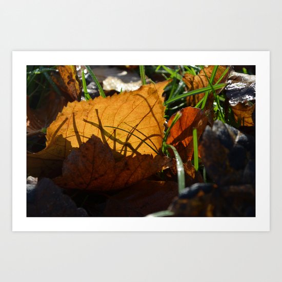 Light reflections Art Print