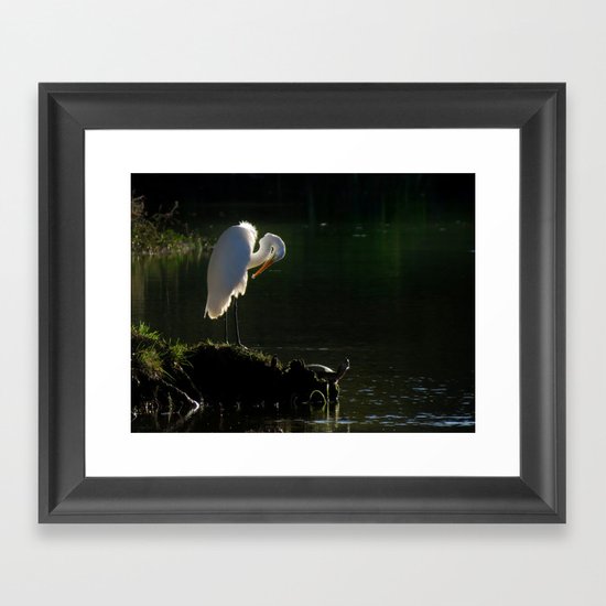 Egret at Evening Framed Art Print