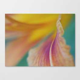 Day Lily Abstract Canvas Print