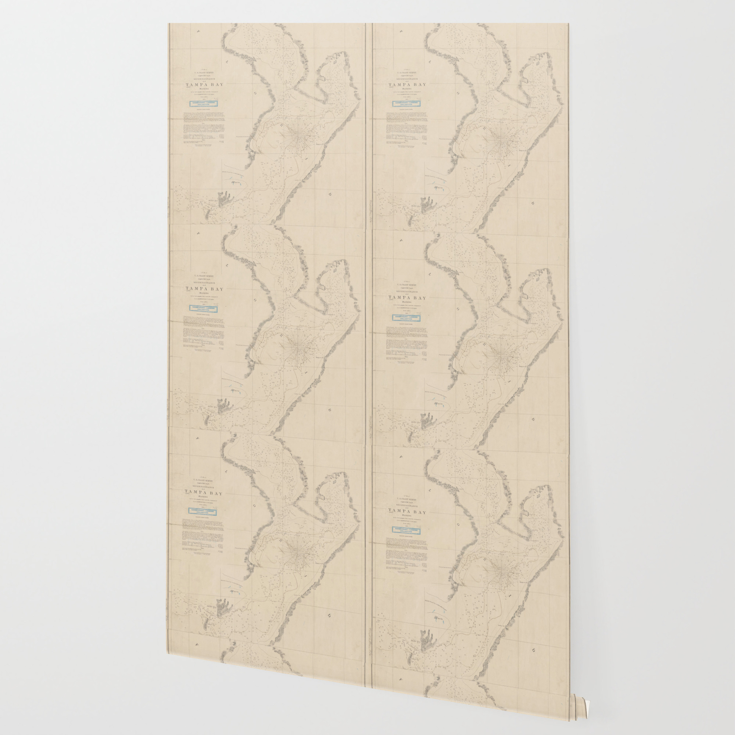 Vintage Map Of Tampa Bay Fl 1855 Wallpaper By Bravuramedia