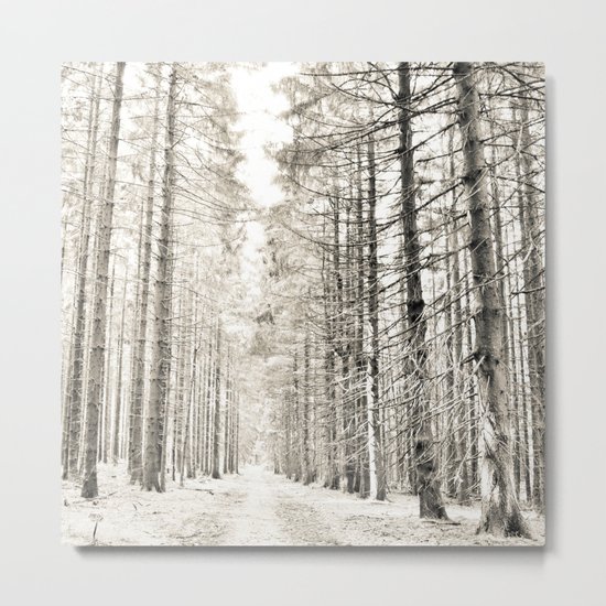 spruce forest Metal Print