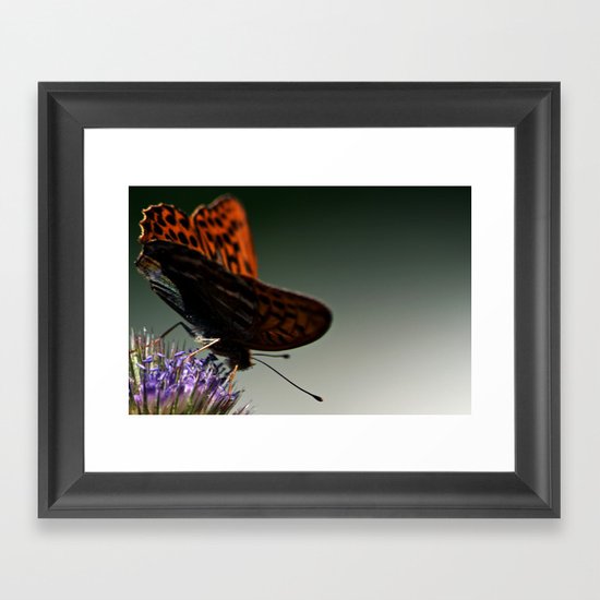 I spread my wings Framed Art Print