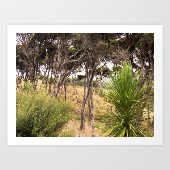 Windswept Trees Art Print