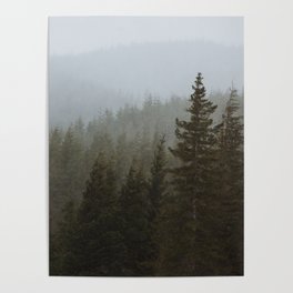 Snowy Forks Forest Poster