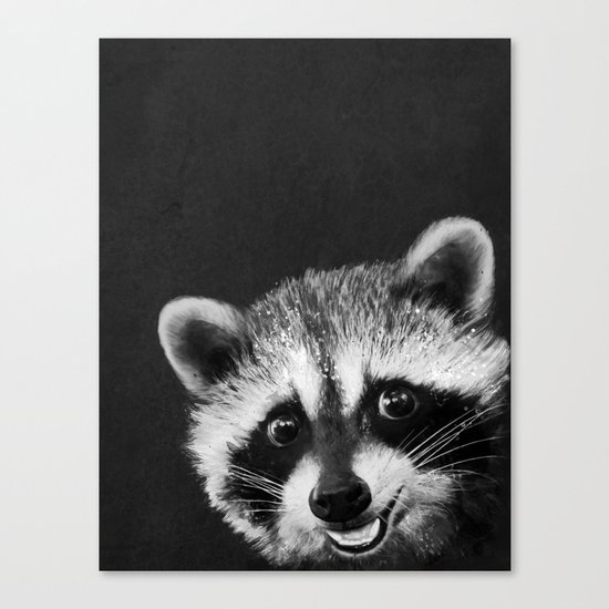 Raccoon Canvas Print