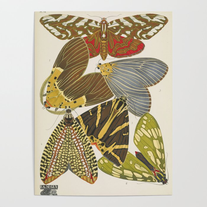 Moth Print by E.A. Seguy, 1925 #5 Poster