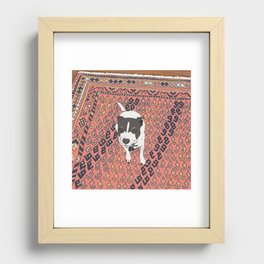 my dog jack Recessed Framed Print