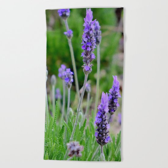 Lavender Beach Towel