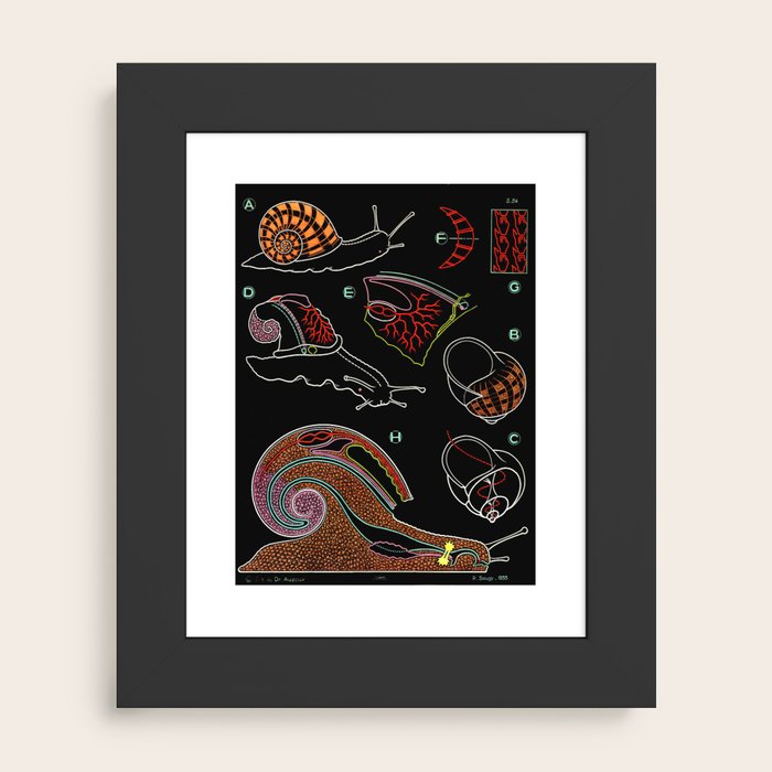 Framed Art Print