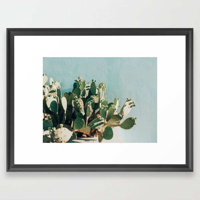 Prickly pear cactus in Marfa, West Texas Framed Art Print