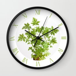 Pelargonium citrosum green plant Wall Clock