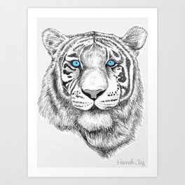Blue eyed White Tiger poster Art Print