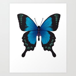 Blue Monarch Butterfly Art Print