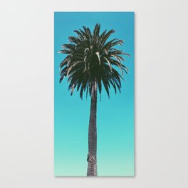 Pacific Palm Canvas Print