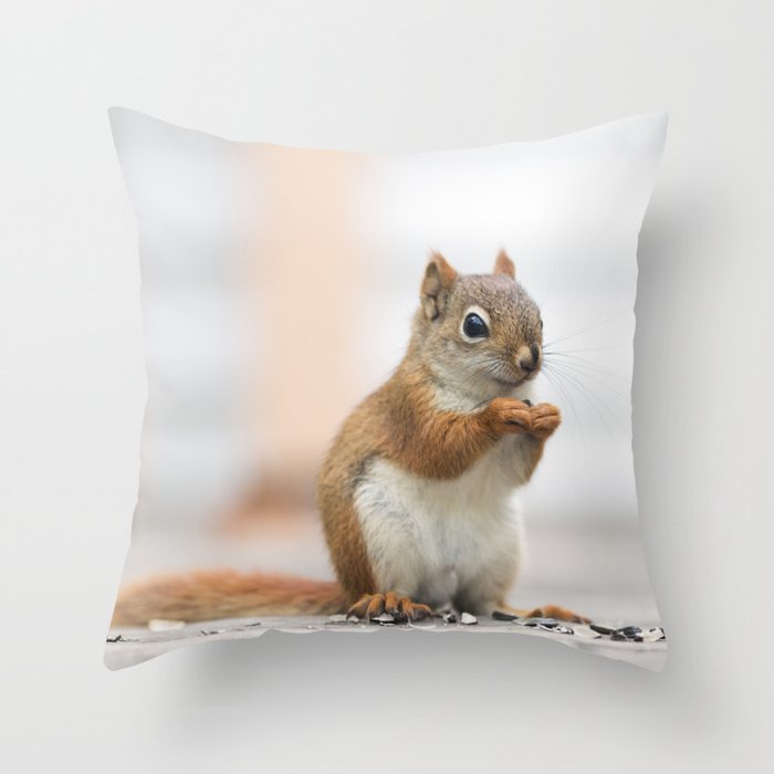 Red Squirrel 3 Throw Pillow By Stephaniekhoward Society6
