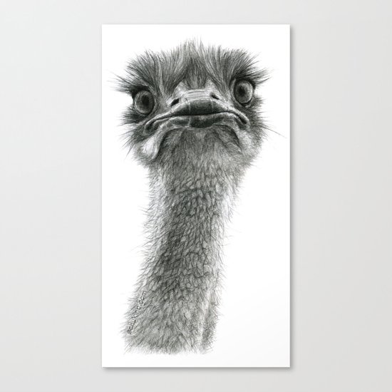 Cute Ostrich SK053 bis Canvas Print