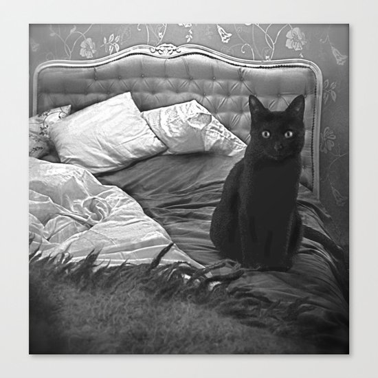 Cat Canvas Print