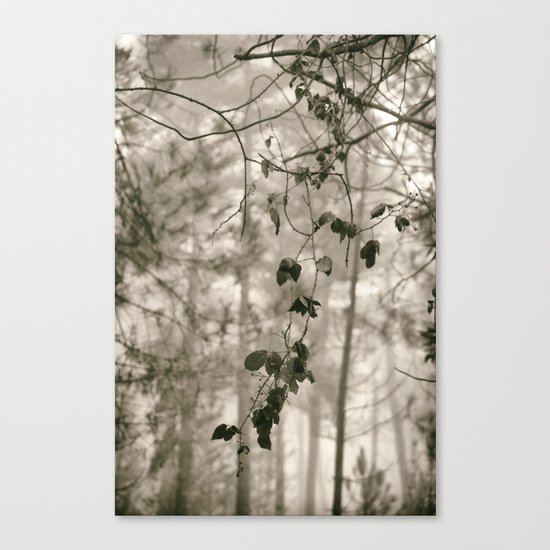 "Into the woods VI" Canvas Print