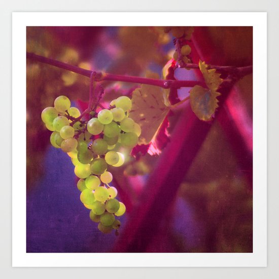 GRAPES Art Print