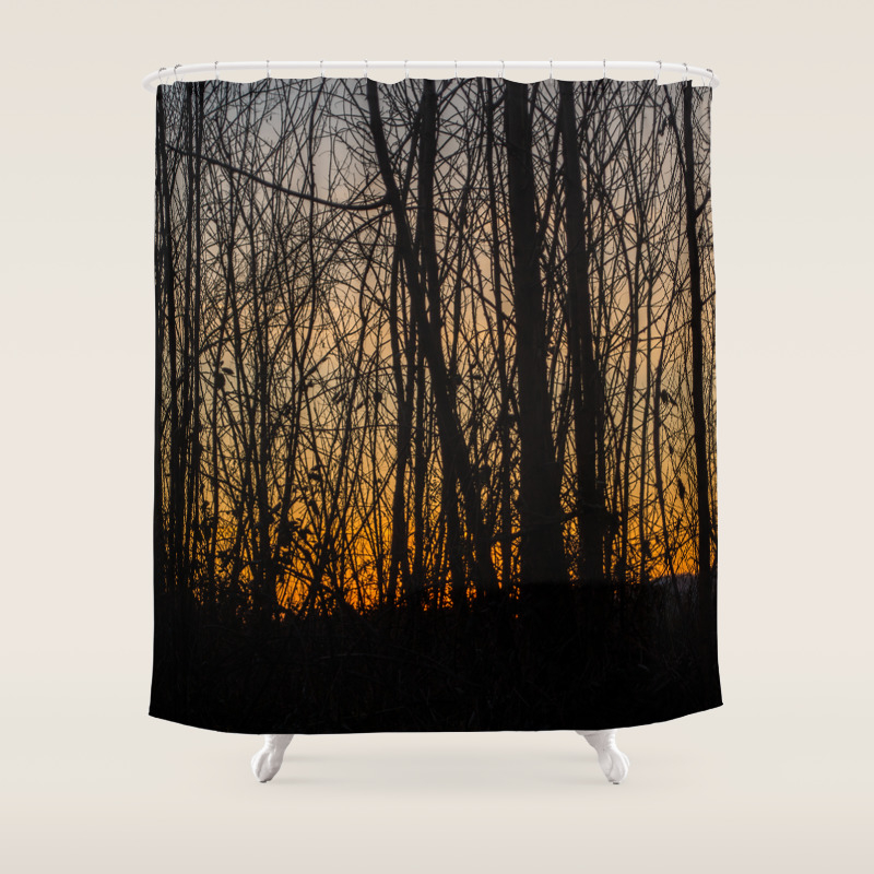 Winter Sunset Light Captured Through The Woods Shower Curtain By