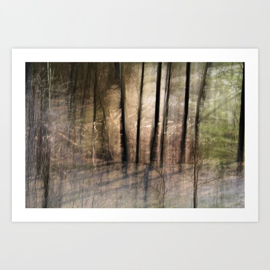 Woods Art Print